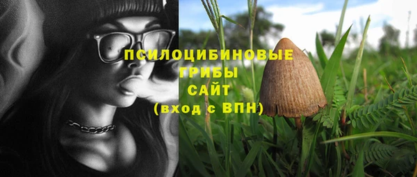 соль ск Волосово