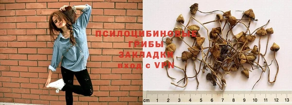 соль ск Волосово