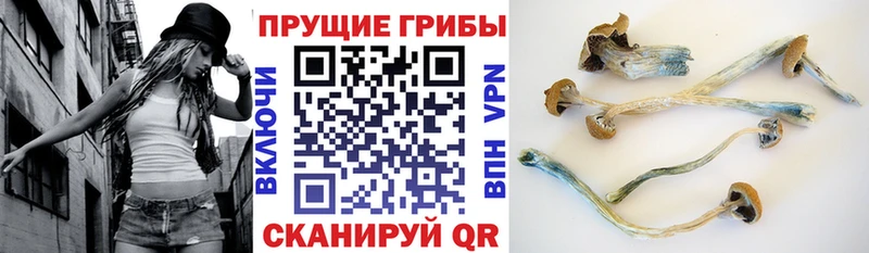 купить закладку  Назарово  Псилоцибиновые грибы ЛСД 